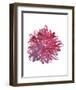 Midnight Dancer-Kiana Mosley-Framed Art Print