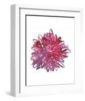 Midnight Dancer-Kiana Mosley-Framed Art Print