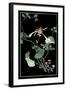 Midnight Floral I-Vision Studio-Framed Art Print