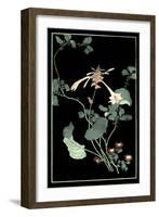 Midnight Floral I-Vision Studio-Framed Art Print