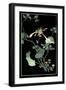 Midnight Floral I-Vision Studio-Framed Art Print