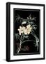 Midnight Floral II-Vision Studio-Framed Art Print