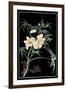 Midnight Floral II-Vision Studio-Framed Art Print