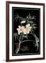 Midnight Floral II-Vision Studio-Framed Art Print