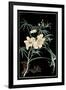 Midnight Floral II-Vision Studio-Framed Art Print