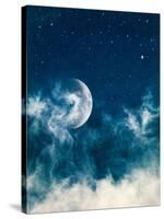 Midnight Fog and Moon-DavidMSchrader-Stretched Canvas