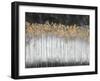 Midnight Forest-Delsy Walters-Framed Art Print