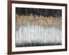 Midnight Forest-Delsy Walters-Framed Art Print