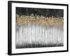 Midnight Forest-Delsy Walters-Framed Art Print