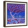 Midnight Garden, 2010-David Newton-Framed Giclee Print