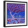 Midnight Garden, 2010-David Newton-Framed Giclee Print