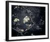 Midnight Garden I-Irene Suchocki-Framed Giclee Print