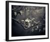 Midnight Garden II-Irene Suchocki-Framed Giclee Print