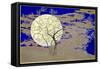 Midnight glow-Angus Hampel-Framed Stretched Canvas