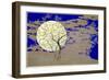 Midnight glow-Angus Hampel-Framed Giclee Print