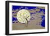 Midnight glow-Angus Hampel-Framed Giclee Print