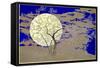 Midnight glow-Angus Hampel-Framed Stretched Canvas