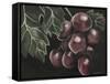 Midnight Grapes-Megan Meagher-Framed Stretched Canvas