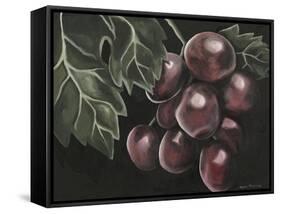 Midnight Grapes-Megan Meagher-Framed Stretched Canvas