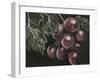 Midnight Grapes-Megan Meagher-Framed Art Print