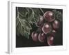 Midnight Grapes-Megan Meagher-Framed Art Print