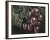 Midnight Grapes-Megan Meagher-Framed Art Print