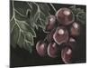Midnight Grapes-Megan Meagher-Mounted Art Print