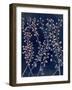 Midnight Haze II-Grace Popp-Framed Art Print