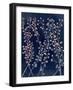 Midnight Haze II-Grace Popp-Framed Art Print