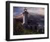 Midnight Hope I-Steve Hunziker-Framed Art Print