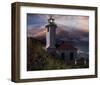 Midnight Hope I-Steve Hunziker-Framed Art Print