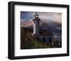 Midnight Hope I-Steve Hunziker-Framed Art Print