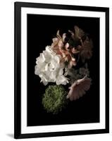 Midnight Hydrangea-Julie Greenwood-Framed Art Print