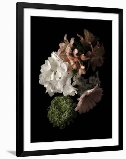 Midnight Hydrangea-Julie Greenwood-Framed Art Print