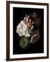 Midnight Hydrangea-Julie Greenwood-Framed Art Print