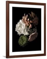 Midnight Hydrangea-Julie Greenwood-Framed Art Print