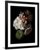 Midnight Hydrangea-Julie Greenwood-Framed Art Print