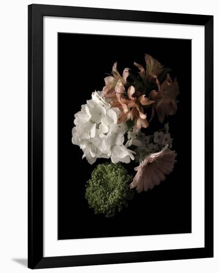 Midnight Hydrangea-Julie Greenwood-Framed Art Print