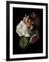 Midnight Hydrangea-Julie Greenwood-Framed Art Print