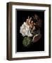 Midnight Hydrangea-Julie Greenwood-Framed Art Print