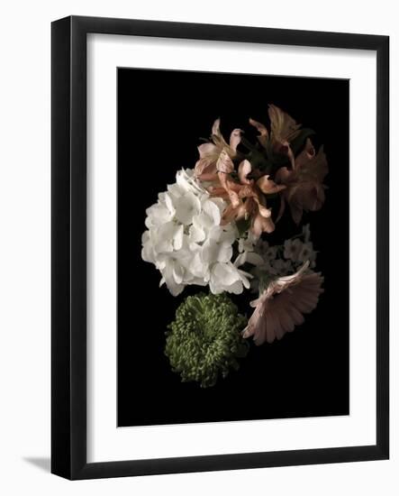 Midnight Hydrangea-Julie Greenwood-Framed Art Print