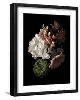 Midnight Hydrangea-Julie Greenwood-Framed Art Print