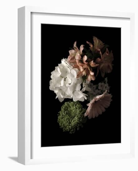 Midnight Hydrangea-Julie Greenwood-Framed Art Print