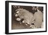 Midnight in the Mall, 1937-null-Framed Photographic Print