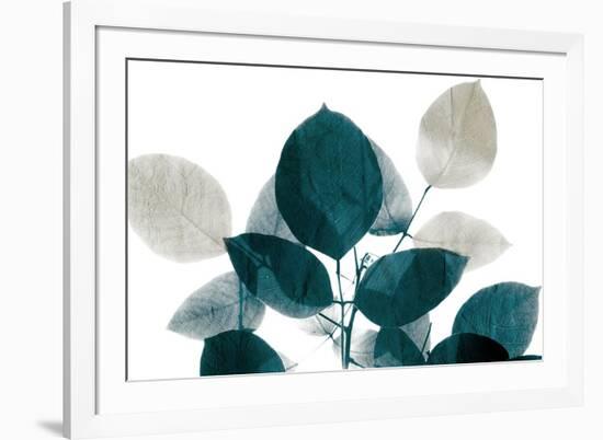 Midnight Leaves 1-Kimberly Allen-Framed Art Print