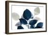 Midnight Leaves 1a-Kimberly Allen-Framed Premium Giclee Print