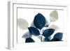 Midnight Leaves 1a-Kimberly Allen-Framed Premium Giclee Print