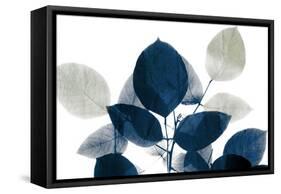 Midnight Leaves 1a-Kimberly Allen-Framed Stretched Canvas