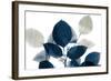 Midnight Leaves 1a-Kimberly Allen-Framed Art Print