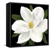 Midnight Magnolia II-Grace Popp-Framed Stretched Canvas